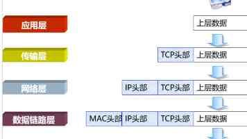 撸管社｜科学自慰与男性身心健康的深度探讨