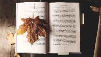 网站优化常见误区:尻逼网站为何不被收录