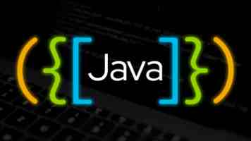 宁夏：柔性引才为产业发展增色