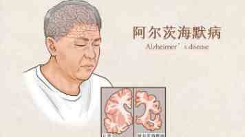 亚洲最大的成人网站 - 高并发架构与反爬策略