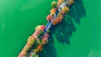 四川BBB嗓和BBBB嗓区别图 - 一图看懂川剧唱法