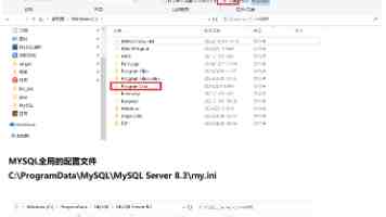 唐心月饼实测|奶黄流心与双黄白莲哪个更值得买