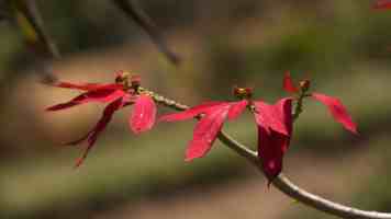 AI 造富浪潮涌入私人飞机市场：Craft CEO 称新买家跳过入门机型，直接选择数千万美元大型喷气机