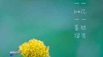 抖漫动漫软件｜好用吗？番剧资源与播放体验详解