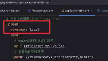 雷诺不在中国卖车，却把中国当成了“参照物”