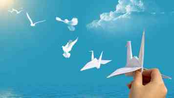 上合组织成员国财长和央行行长会议支持深化财金合作